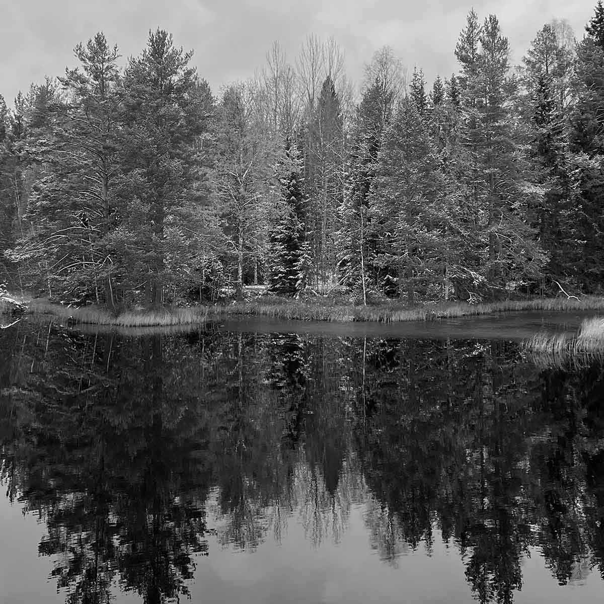 Skapa bilder för WordPress